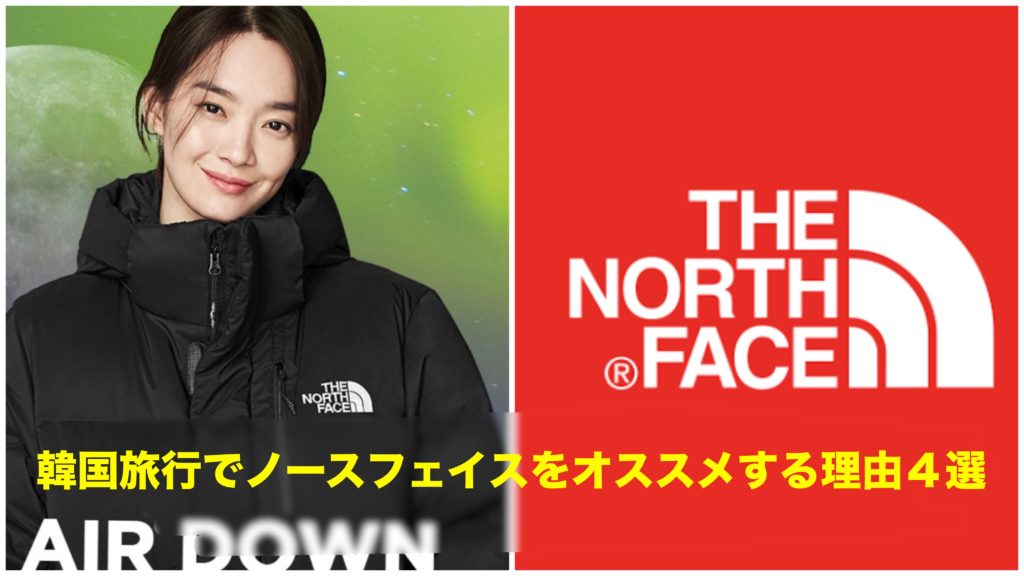 THE NORTH FACE - 早い者勝ち‼️ザノースフェイス韓国で大人気バック